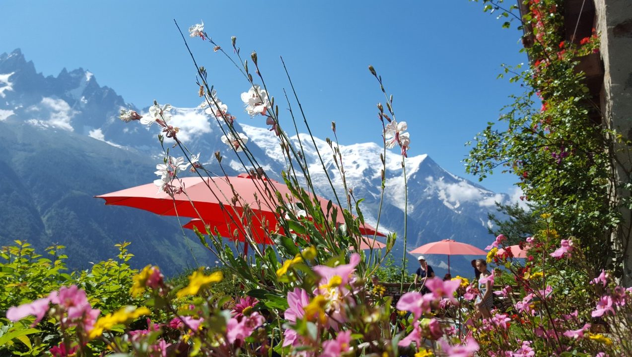 Classe-Affaires VTC - Chamonix Mont-Blanc Haute-Savoie Vue de fleurs colorées devant des montagnes enneigées sous un ciel bleu.